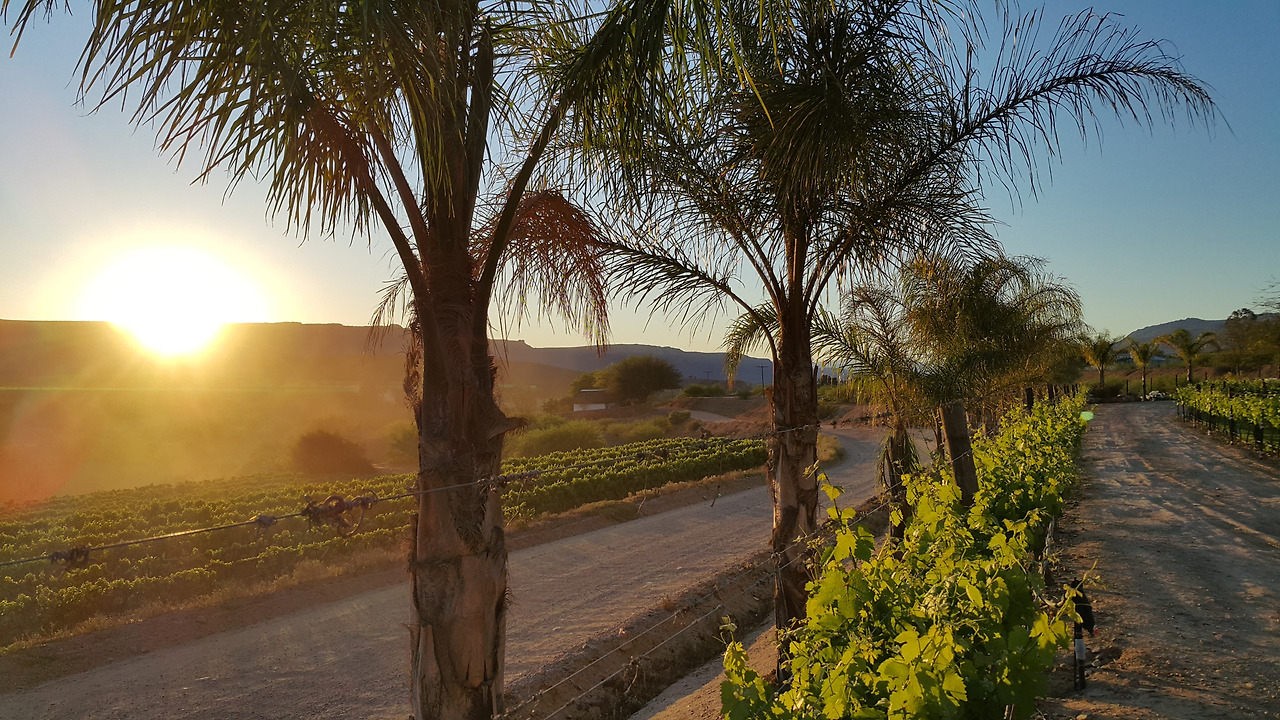 20171010_063209 - 복사본.jpg