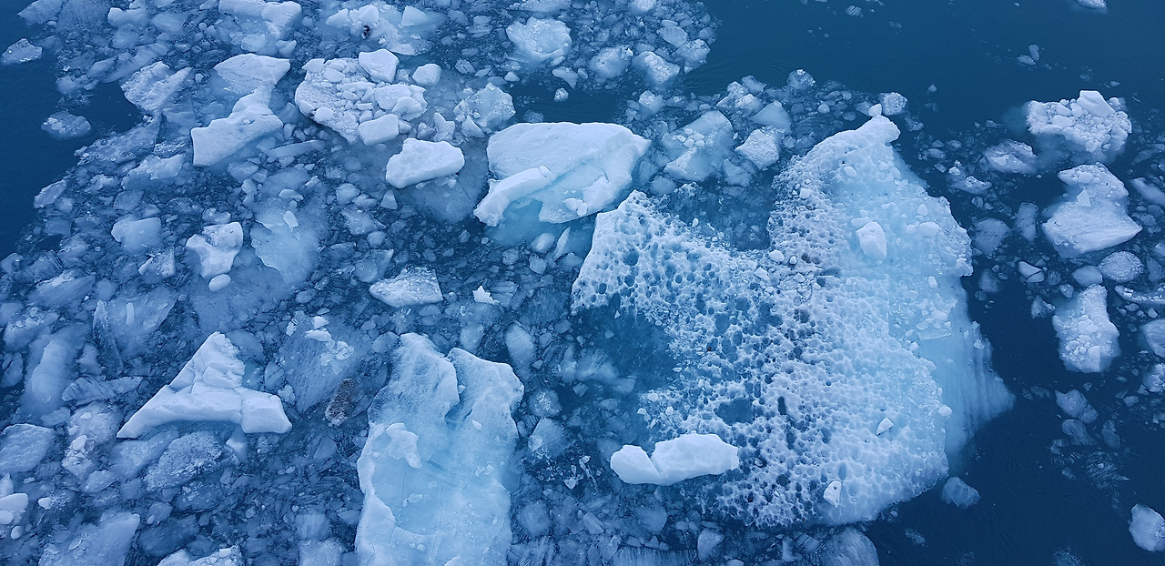 20180531_084541 - 복사본.jpg