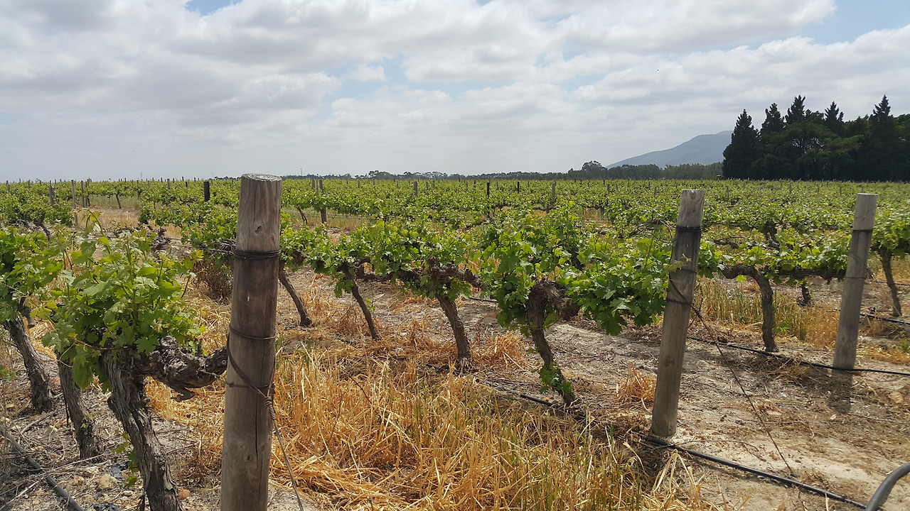 20171014_112830 - 복사본 - 복사본.jpg