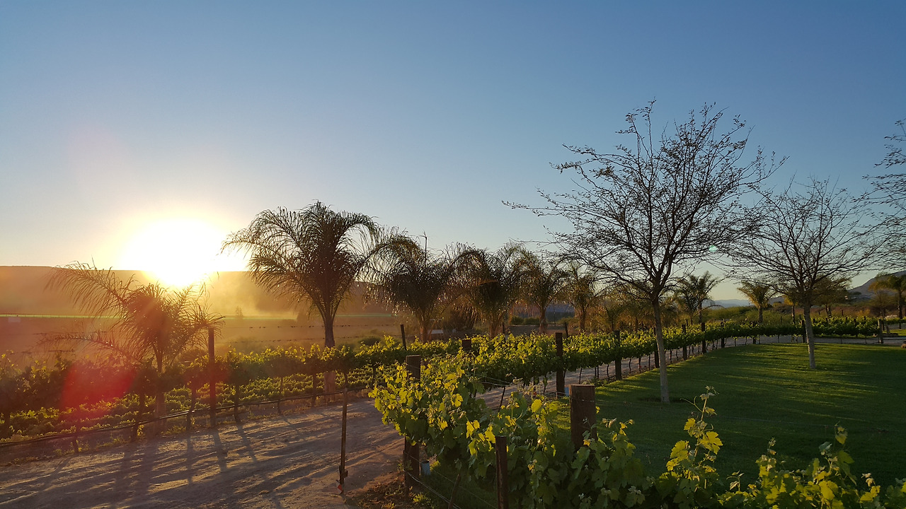 20171010_063250 - 복사본.jpg