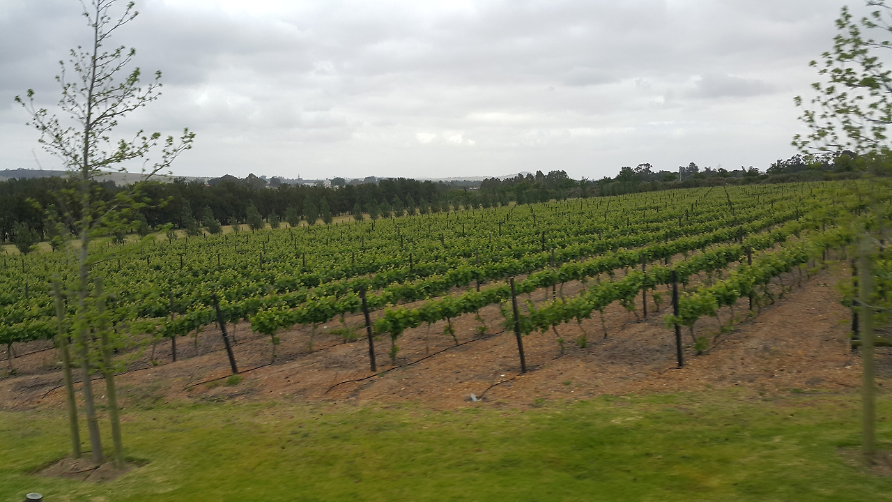 20171014_102109 - 복사본 - 복사본.jpg