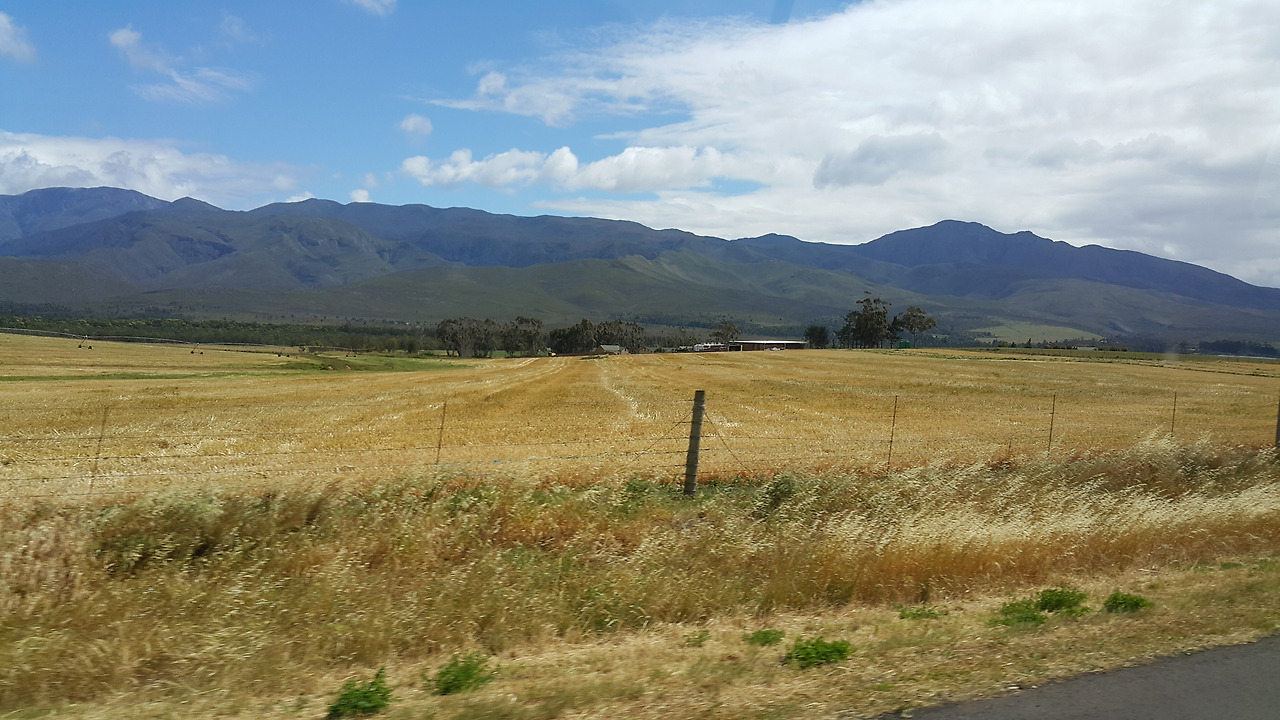 20171019_104457 - 복사본.jpg