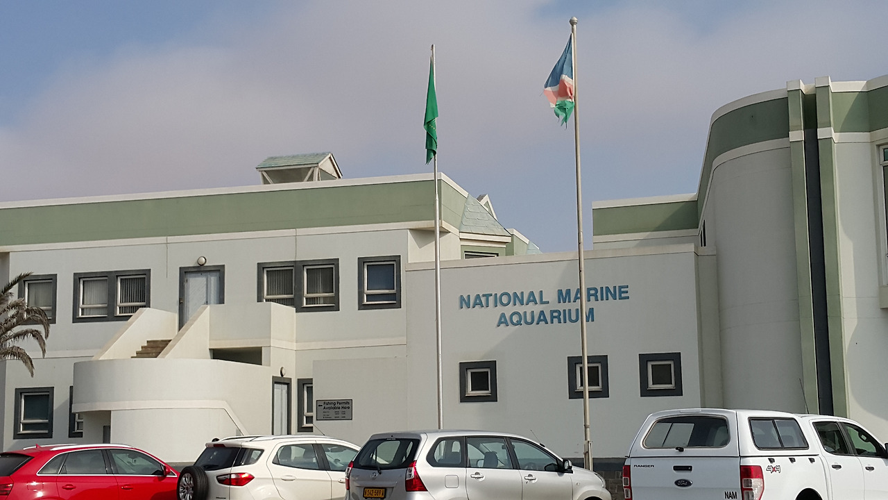 20171002_162546 - 복사본.jpg