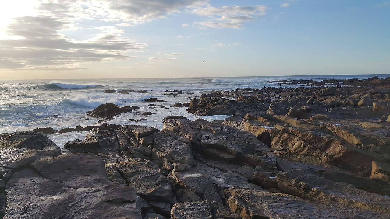 20171020_062845 - 복사본.jpg