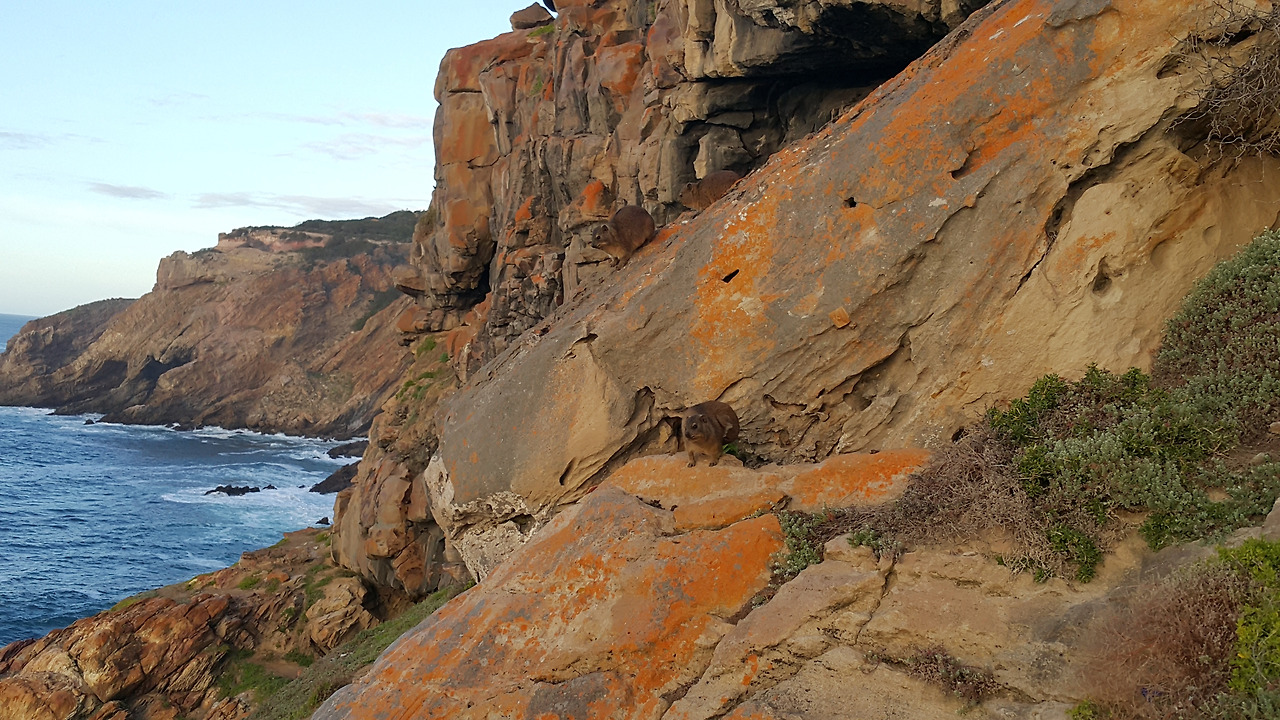 20171020_061920 - 복사본.jpg