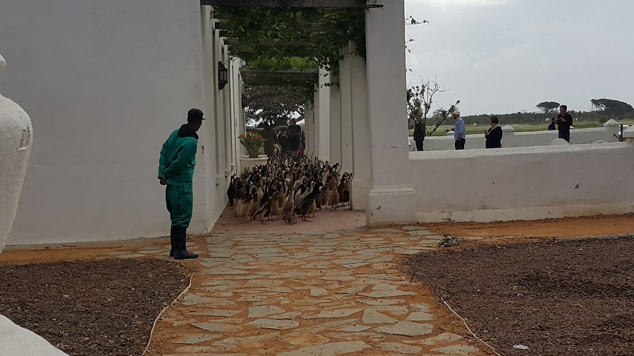 20171014_152956 - 복사본.jpg