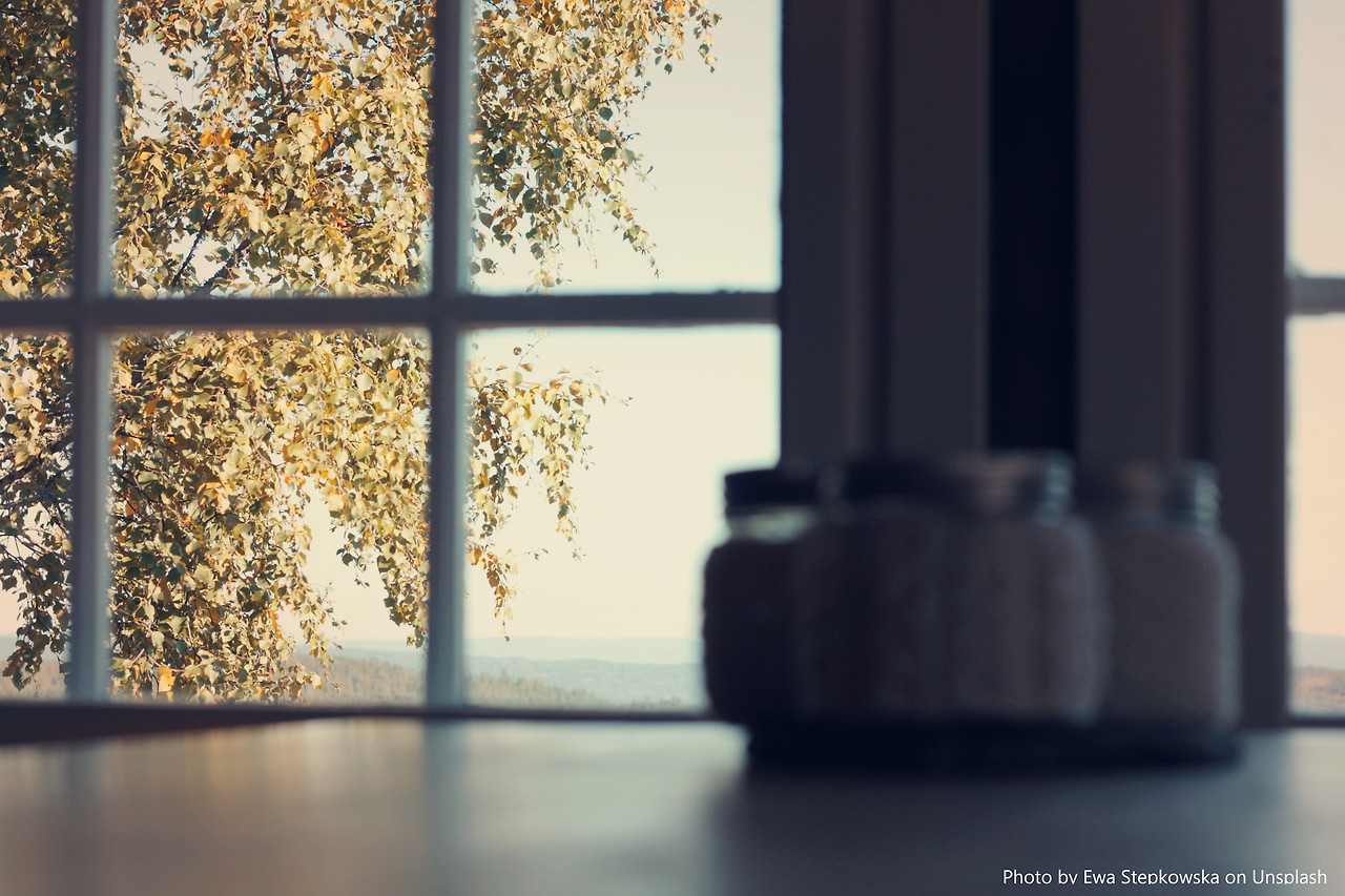 ewa-stepkowska-9529-unsplash.jpg