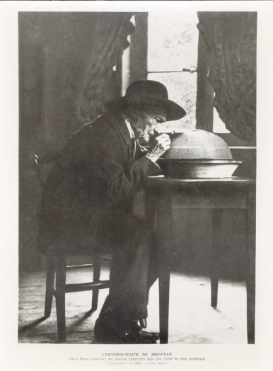 French_Photographer_-_Jean-Henri_Fabre_(1823-1915)_observing_insects_from_So.jpg