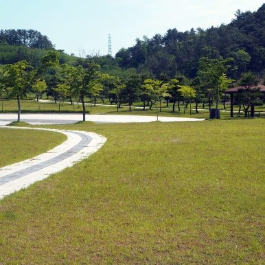 고창푸른숲-잔디장.jpg