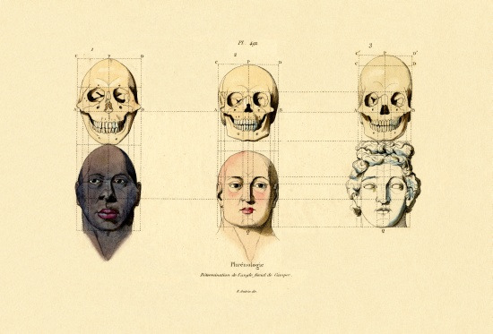 phrenology-5.jpg