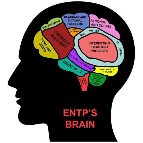 entp_브레인.jpg
