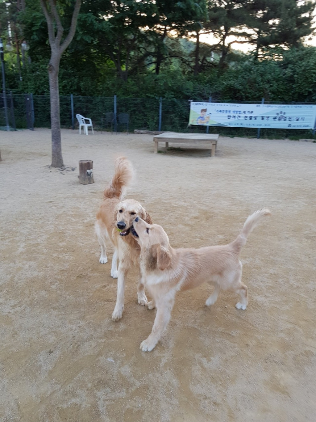 브런치 하니와 마린.jpg