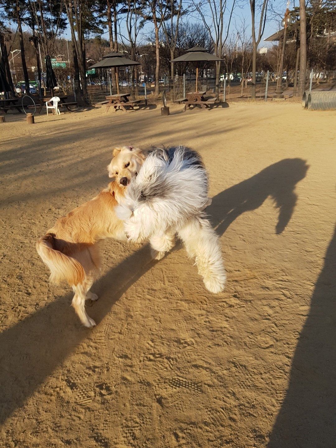 브런치 하니와 선구.jpg