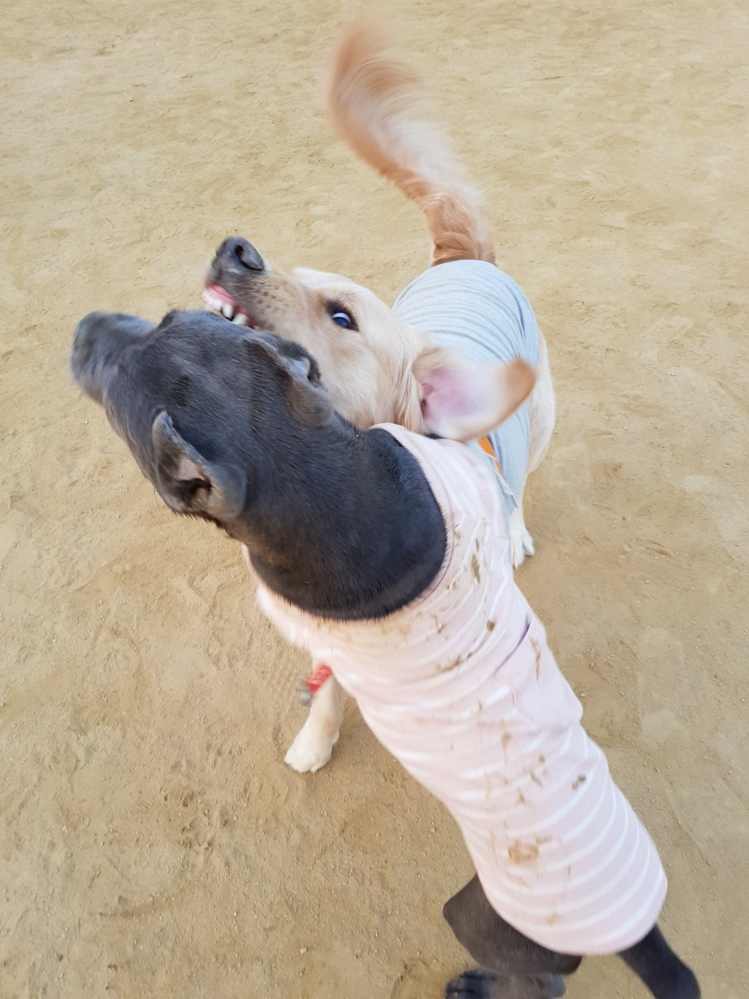 브런치 하니와 혜수.jpg