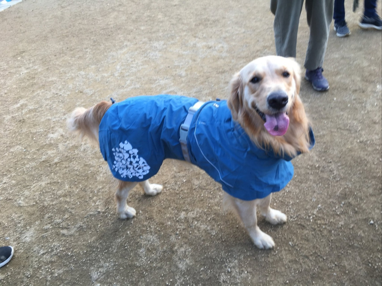 브런치 하니 바바리1.jpg