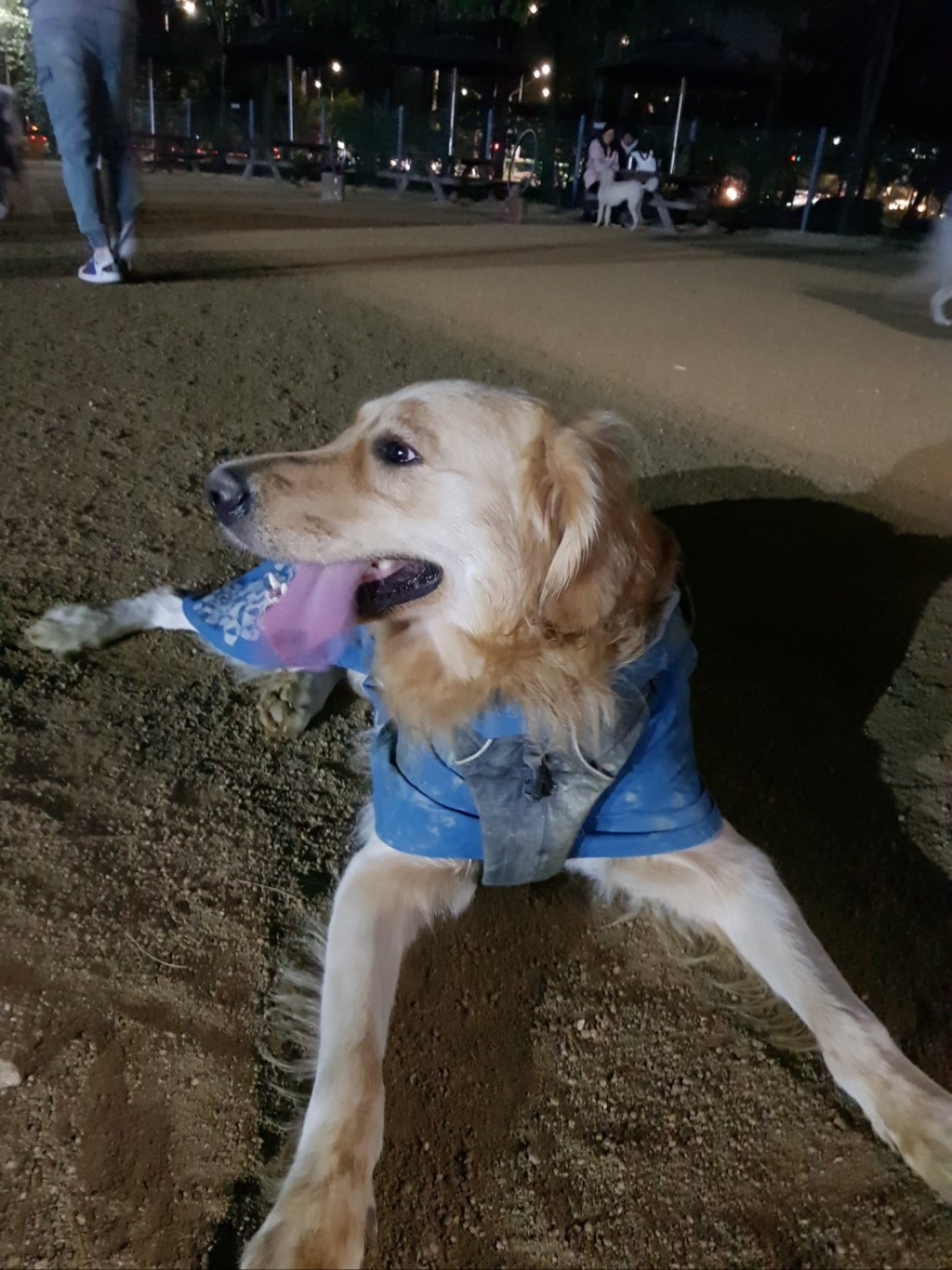 브런치 하니 바바리 2.jpg