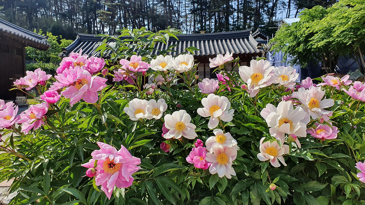 20220511_151603 (1).jpg