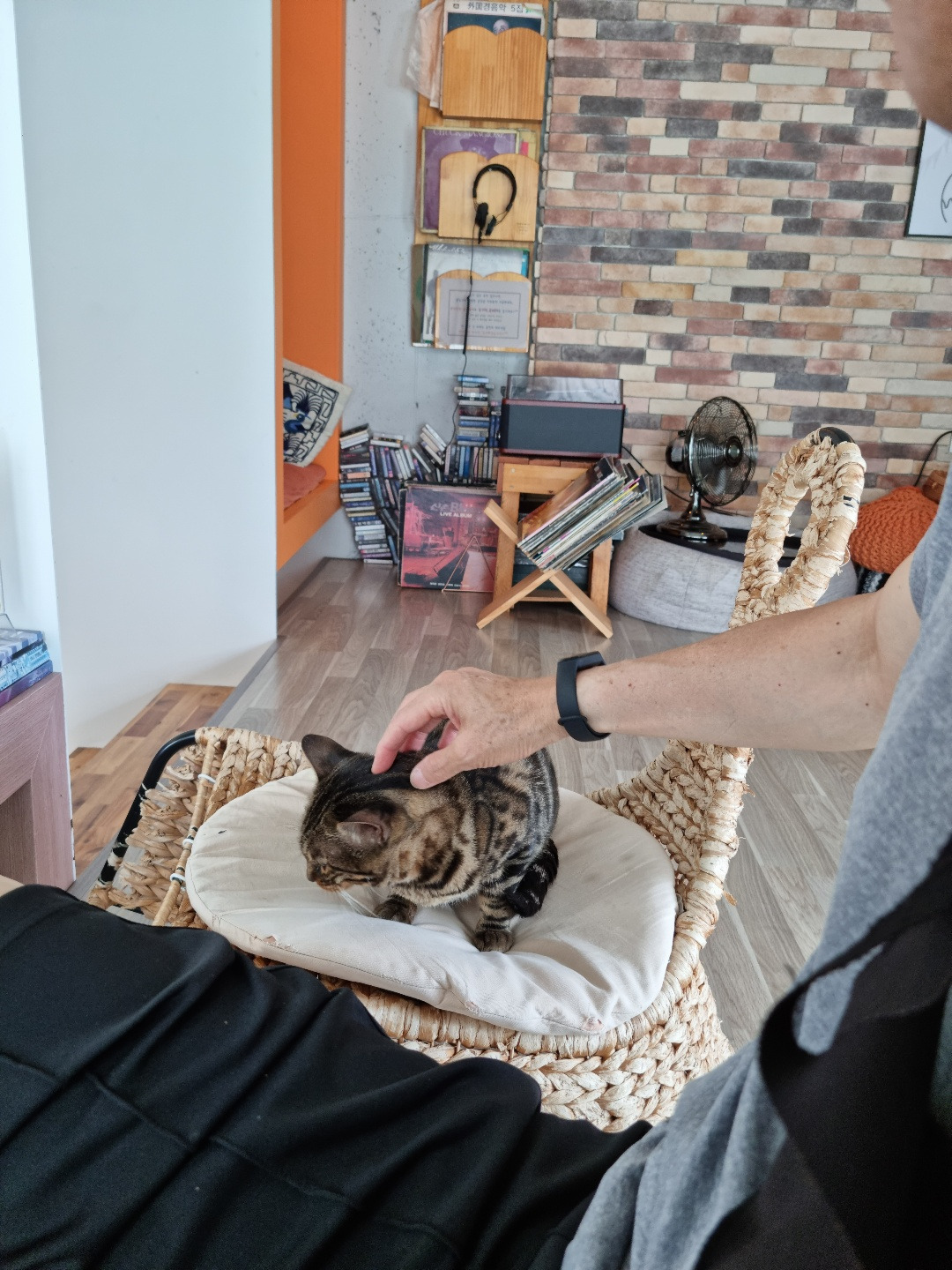 KakaoTalk_20220807_200006405_01 (1).jpg