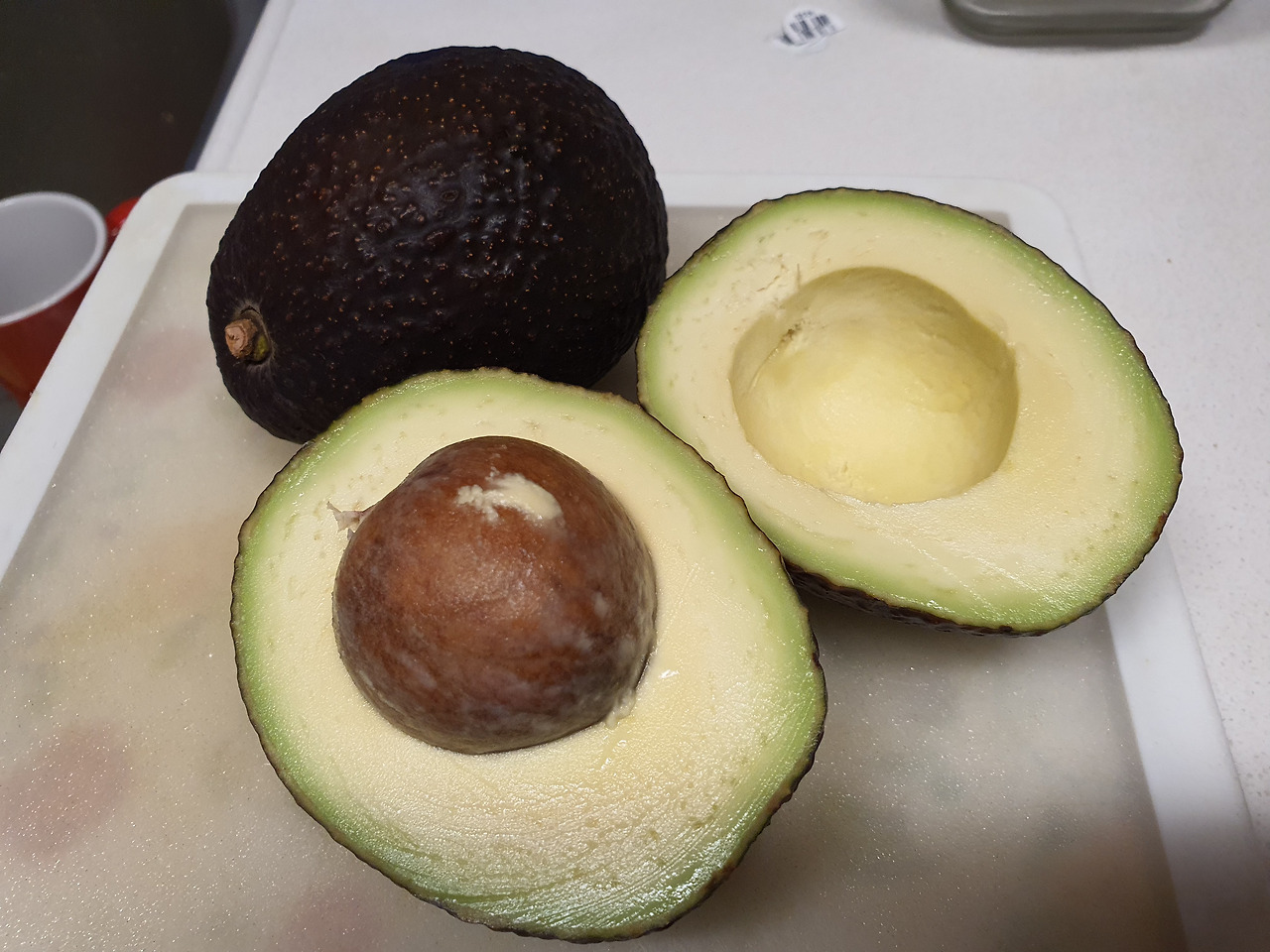 아봍카도 변신.jpg