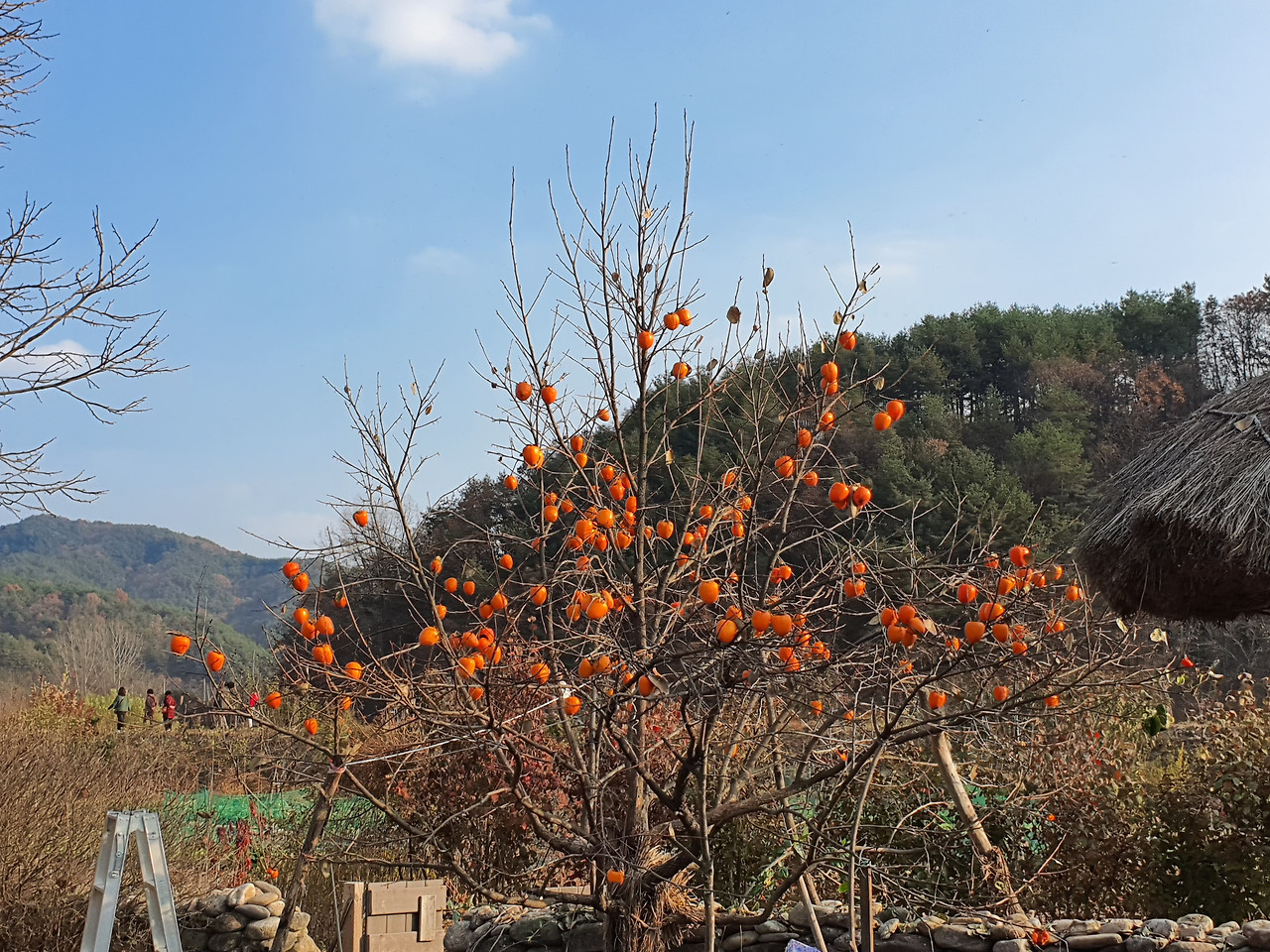 KakaoTalk_20221113_161543139 - 복사본.jpg