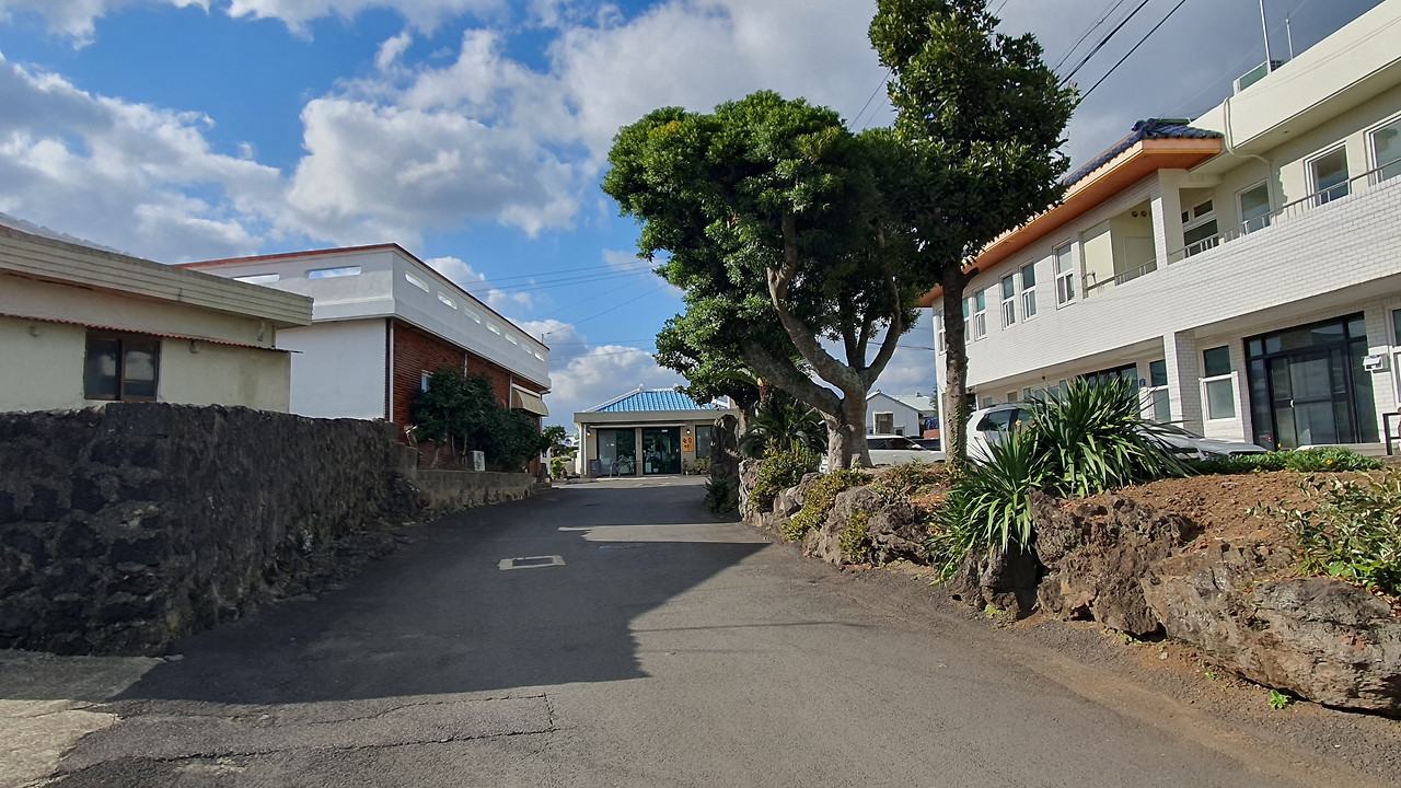 종달리스케치 사진.jpg