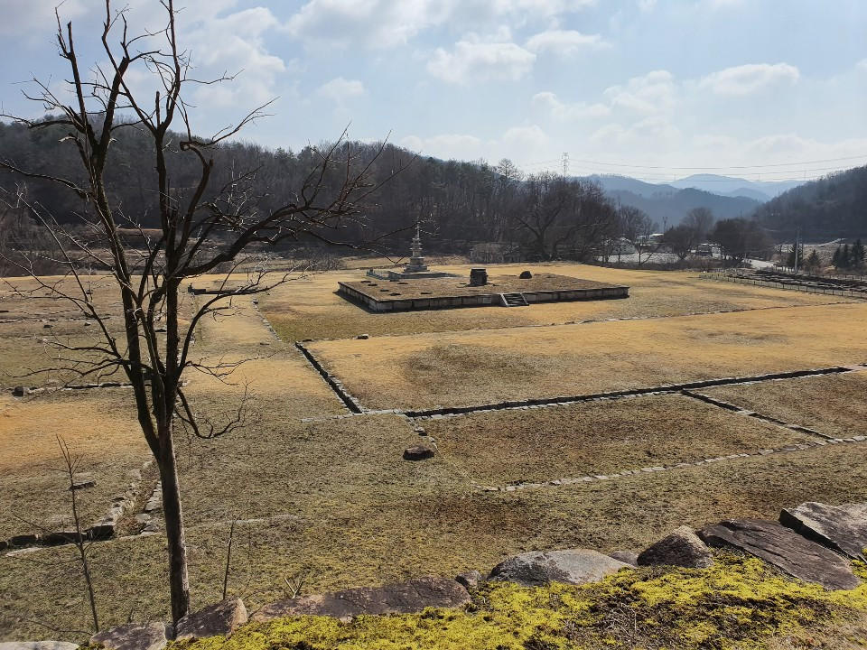 감나무보이는 터.jpg