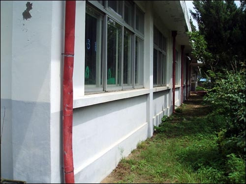 양화초 교정1.jpg