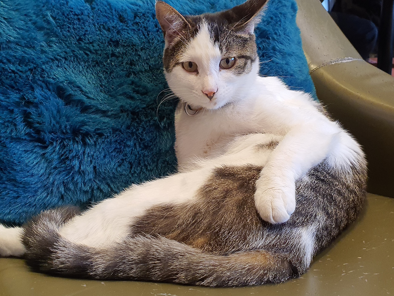 KakaoTalk_20220807_182056978 (1).jpg