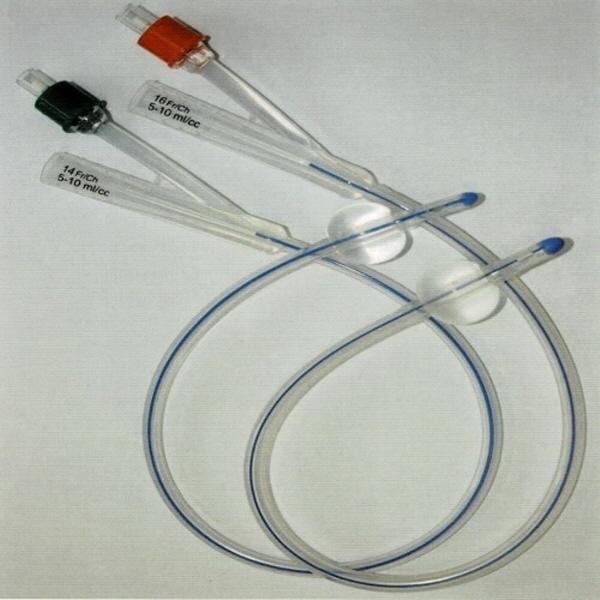 그림 9. 폴리.jpg