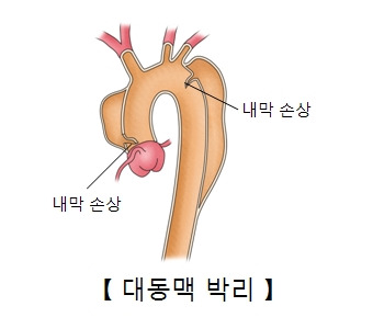 부족한 학생을 한 몫 하는 의사로 키우기 위해 필요한 것 7-2.jpg
