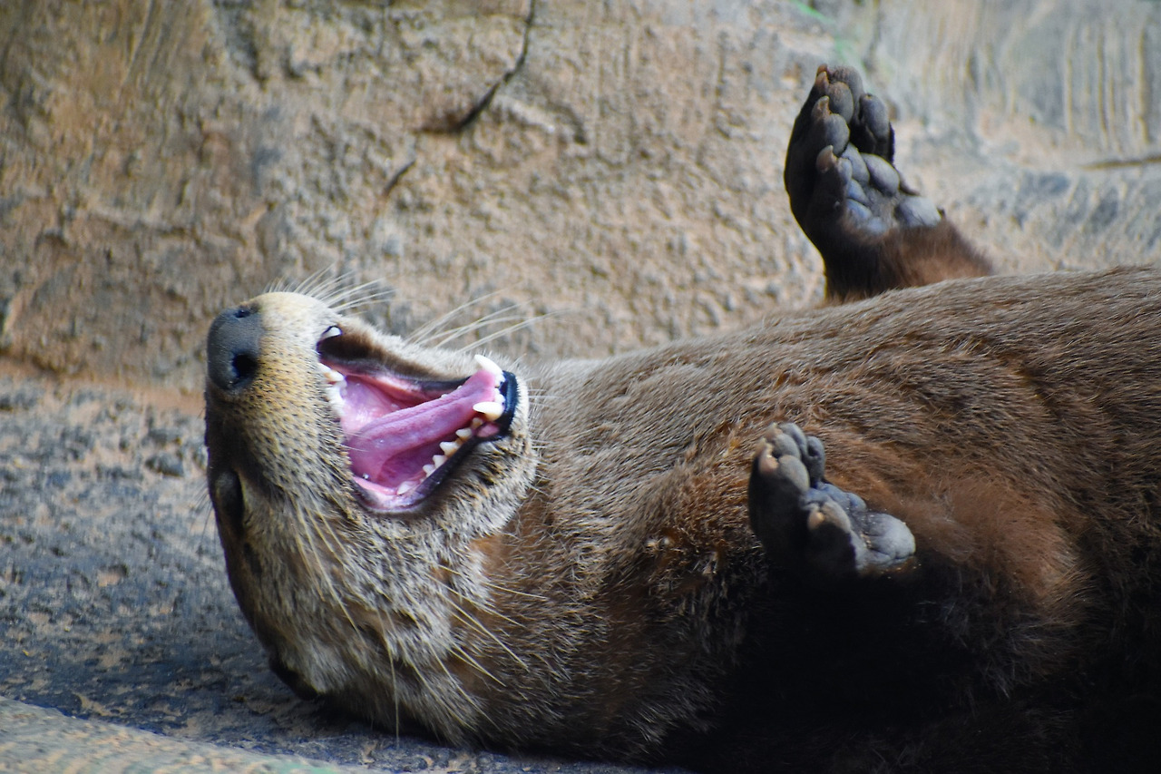 그림 4. 기절.jpg