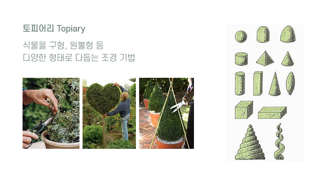 힐링 플라워 트리 2.jpg