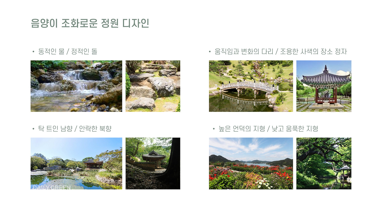 춘분 수국 심고 식물 포스터 만들기 6.jpg