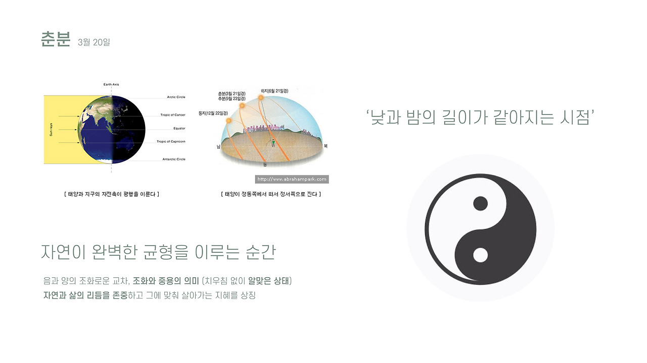 춘분 수국 심고 식물 포스터 만들기 2.jpg