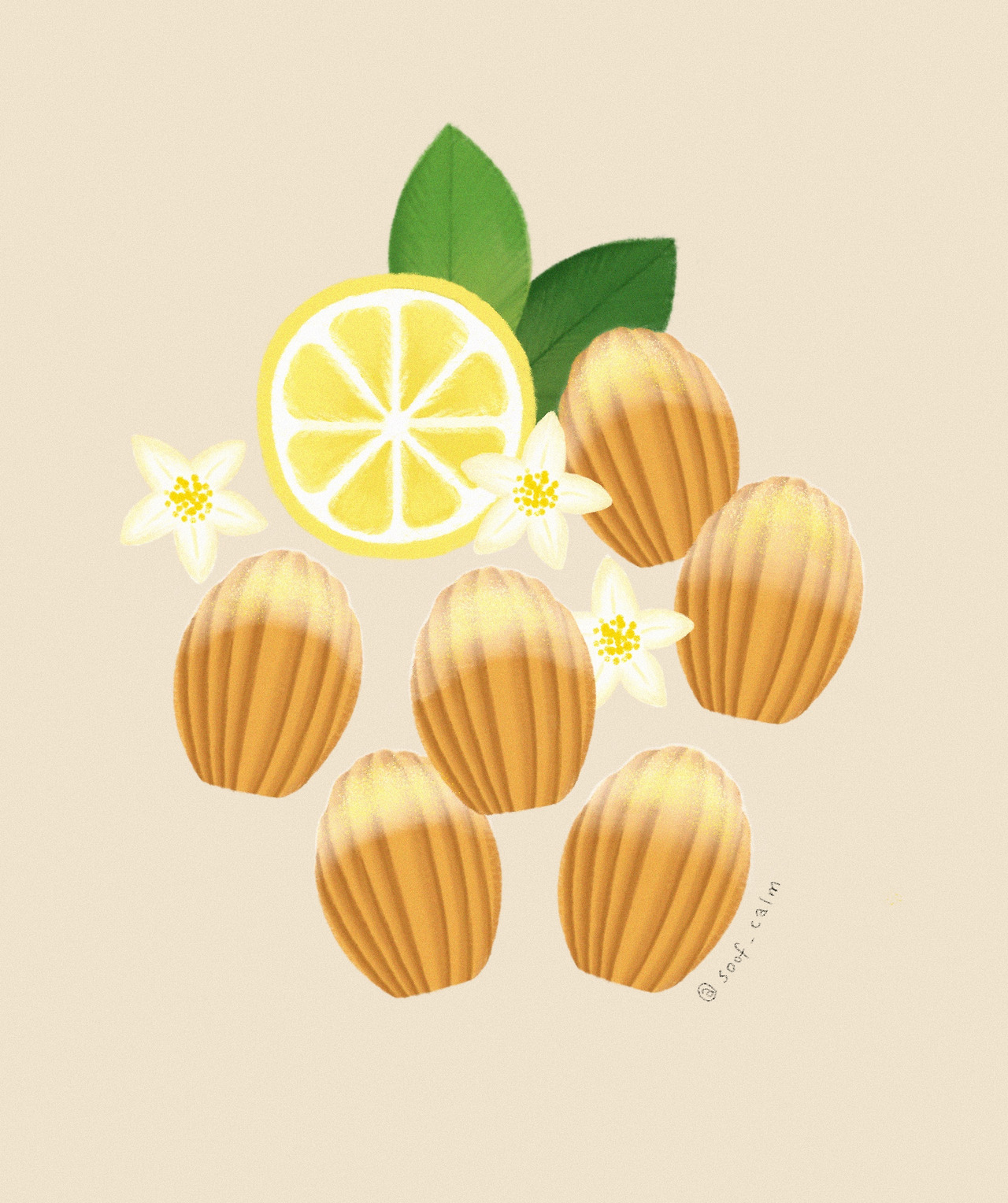 레몬 마들렌.jpg