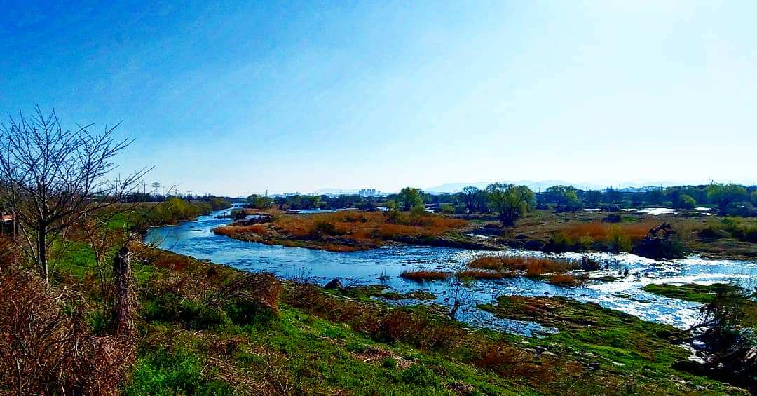 금호강 풍경.jpg