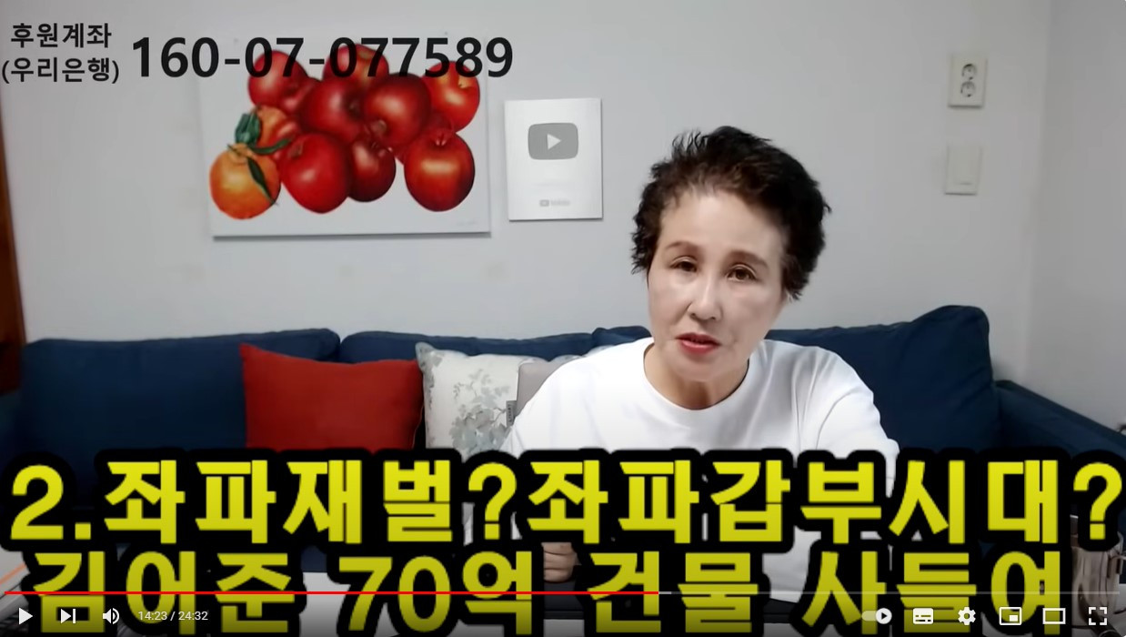 전여옥TV 캡처.jpg