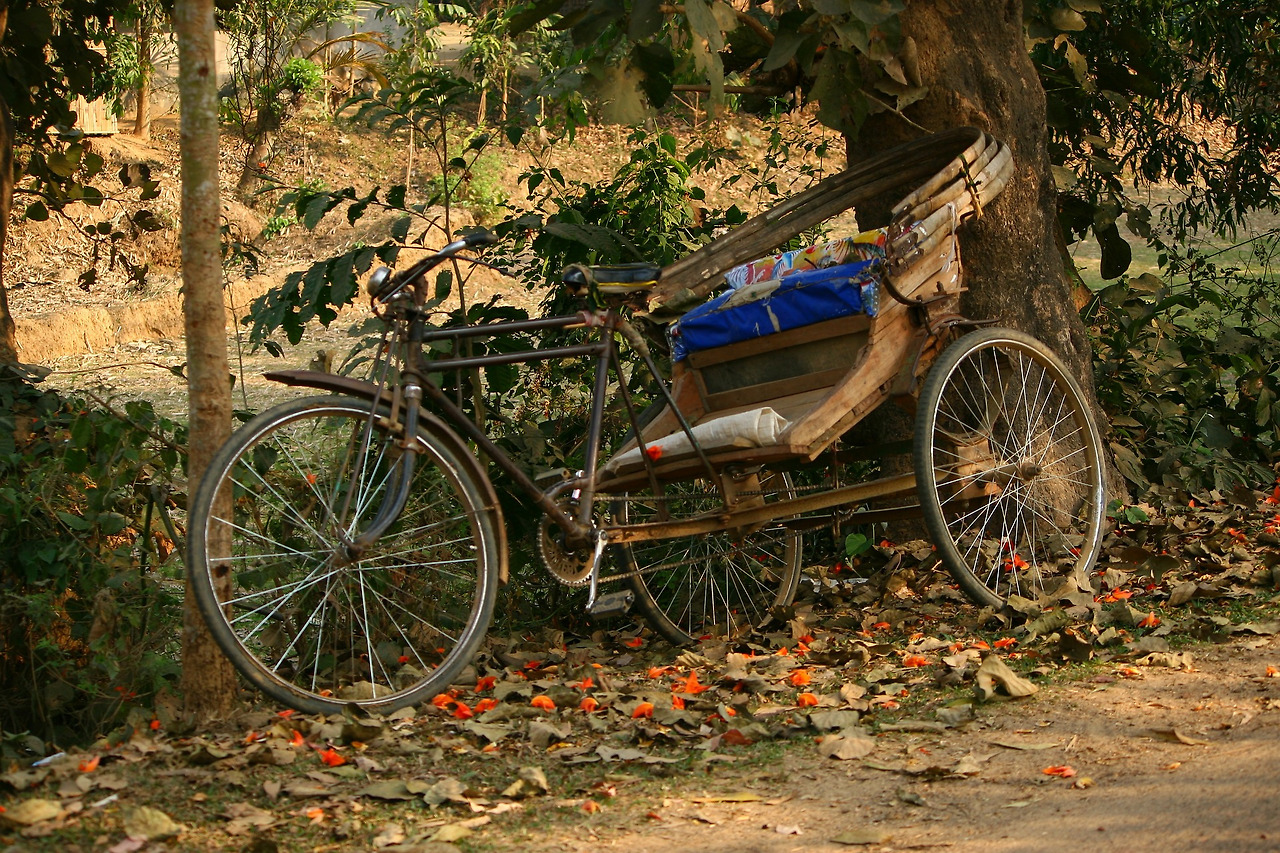 rickshaw-55175_1920.jpg