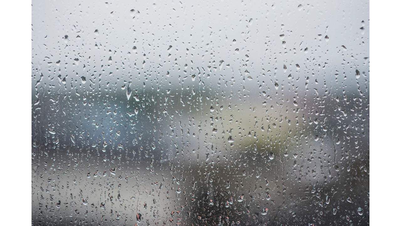 제목 없는 디자인.jpg