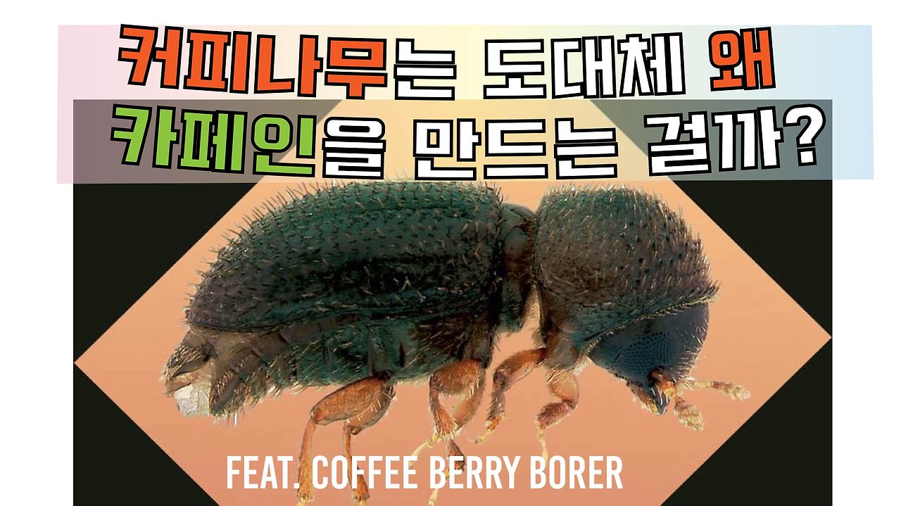 대지 1@4x-50.jpg