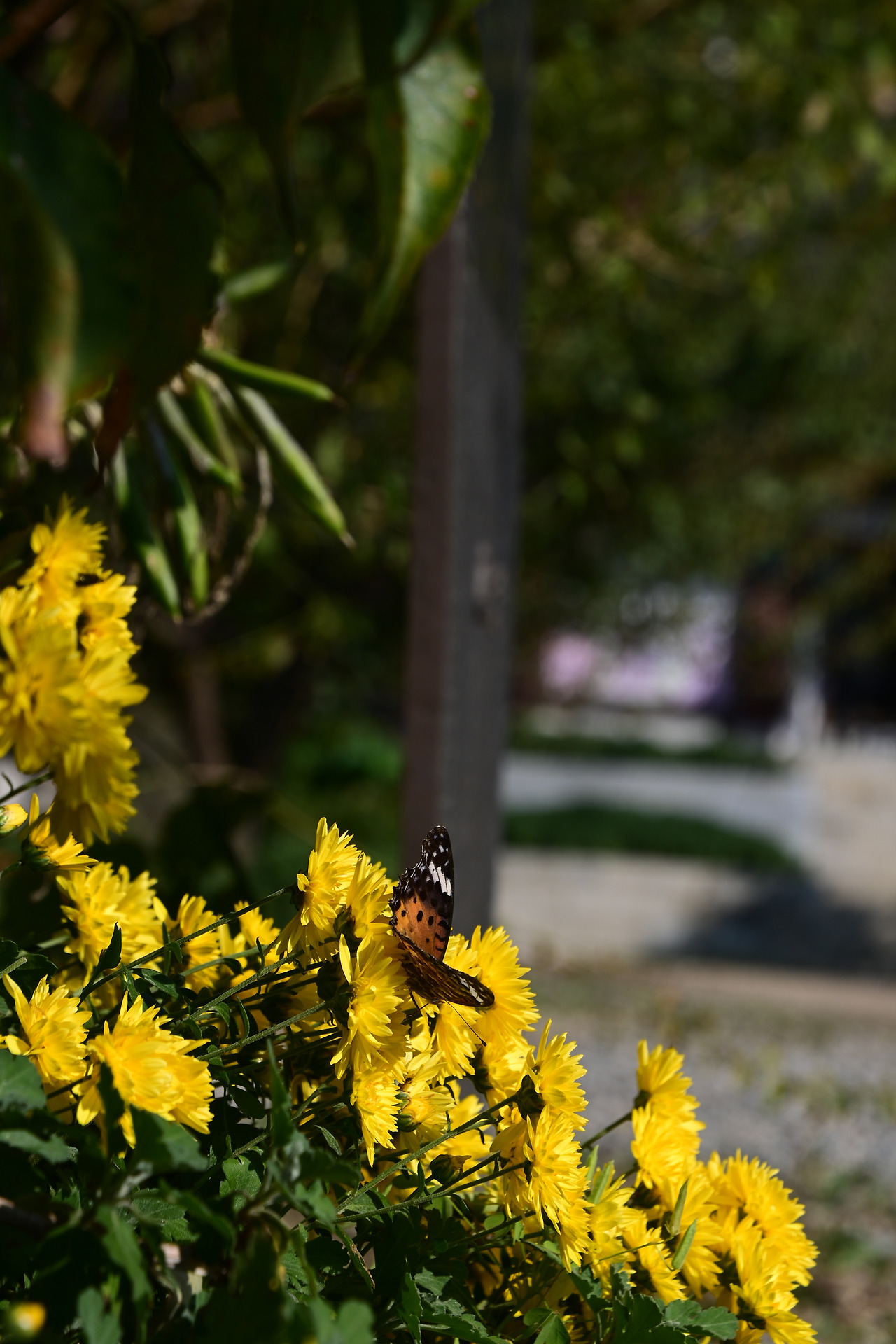 KakaoTalk_20231015_193554543_16 (1).jpg