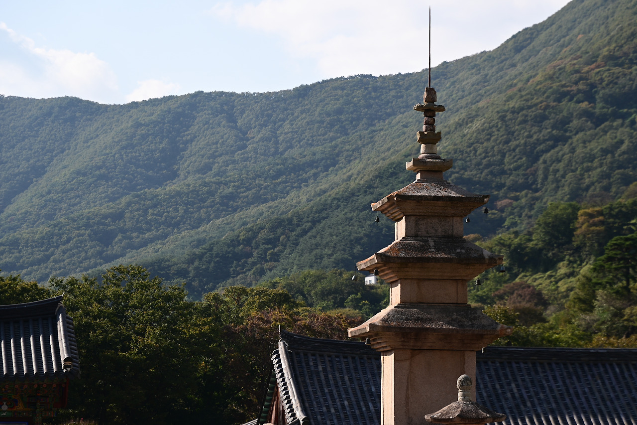 KakaoTalk_20231015_193554543_15 (1).jpg