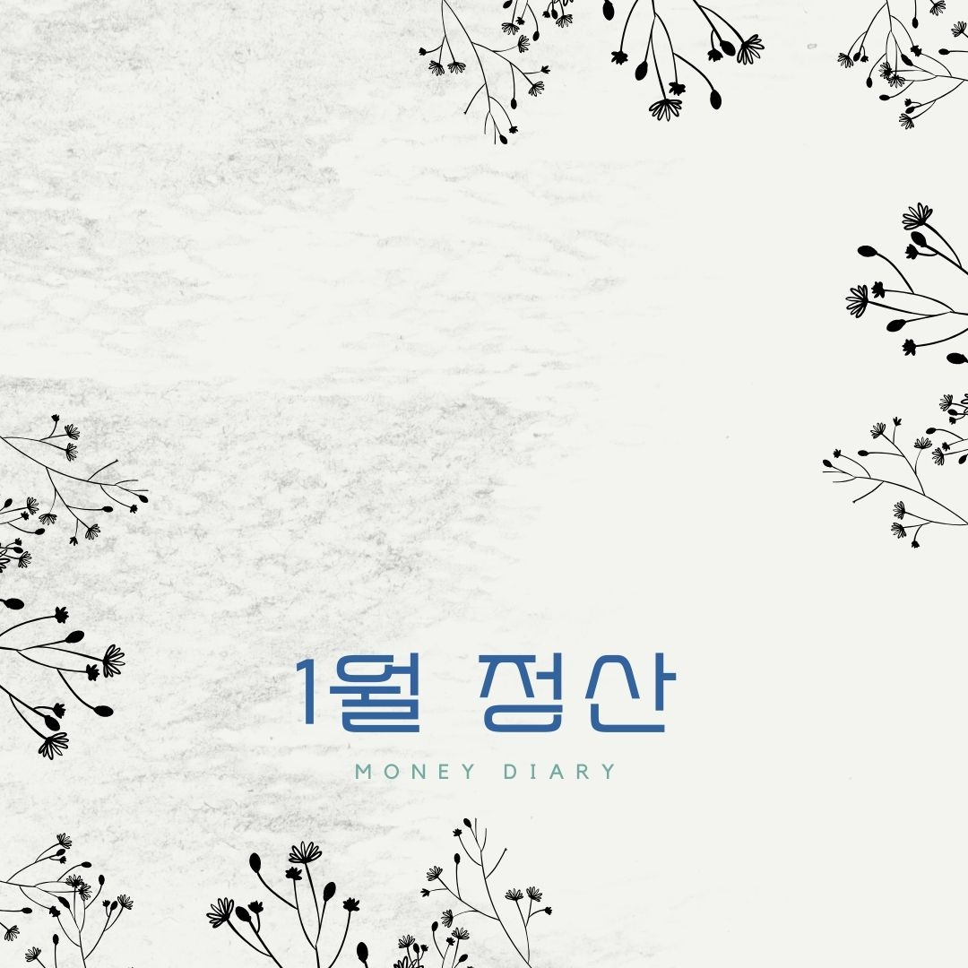 머니다이어리 정산1월.jpg