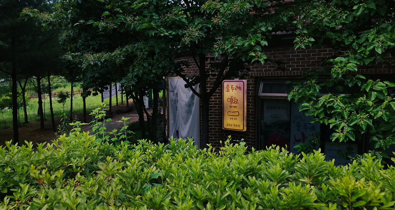 물푸레북카페_김하나_외부간판.jpg
