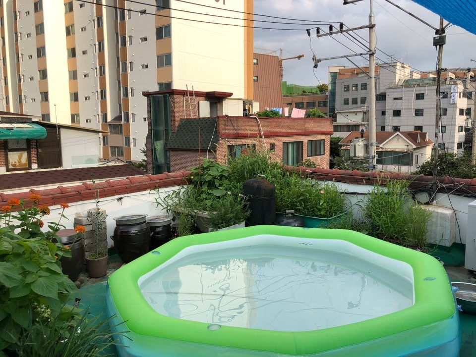 사진9_꿈샘누리 옥상_김아영.jpg