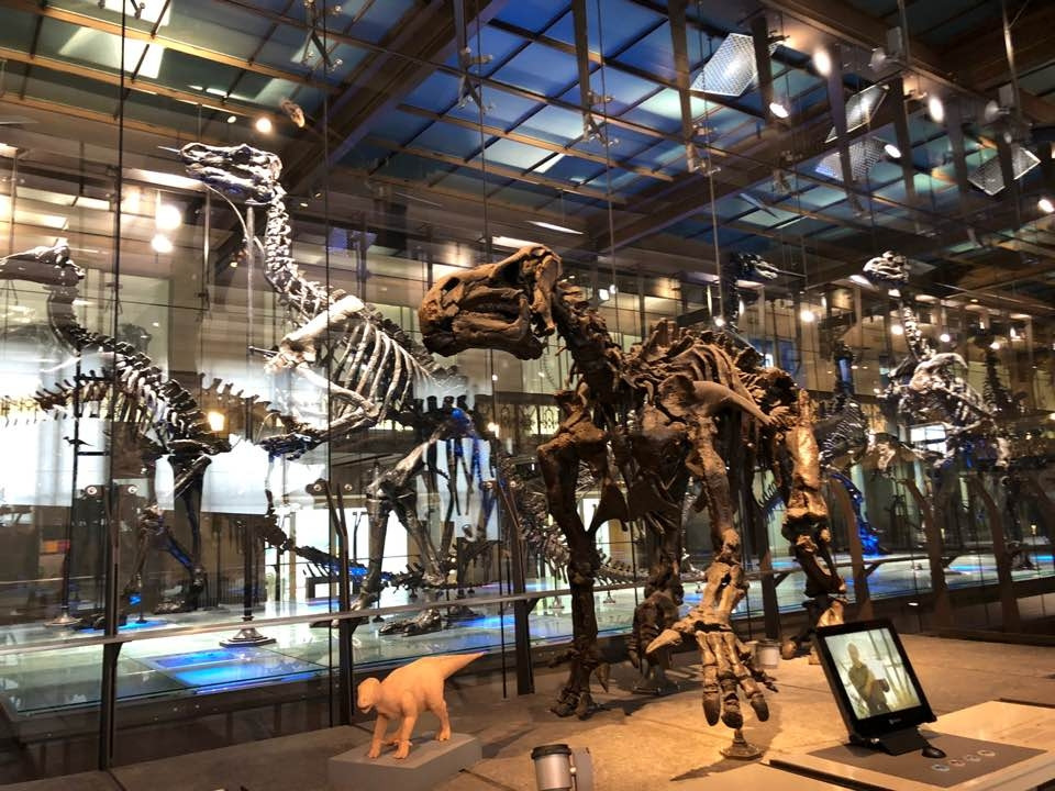 KakaoTalk_20190204_티라노 크게.jpg