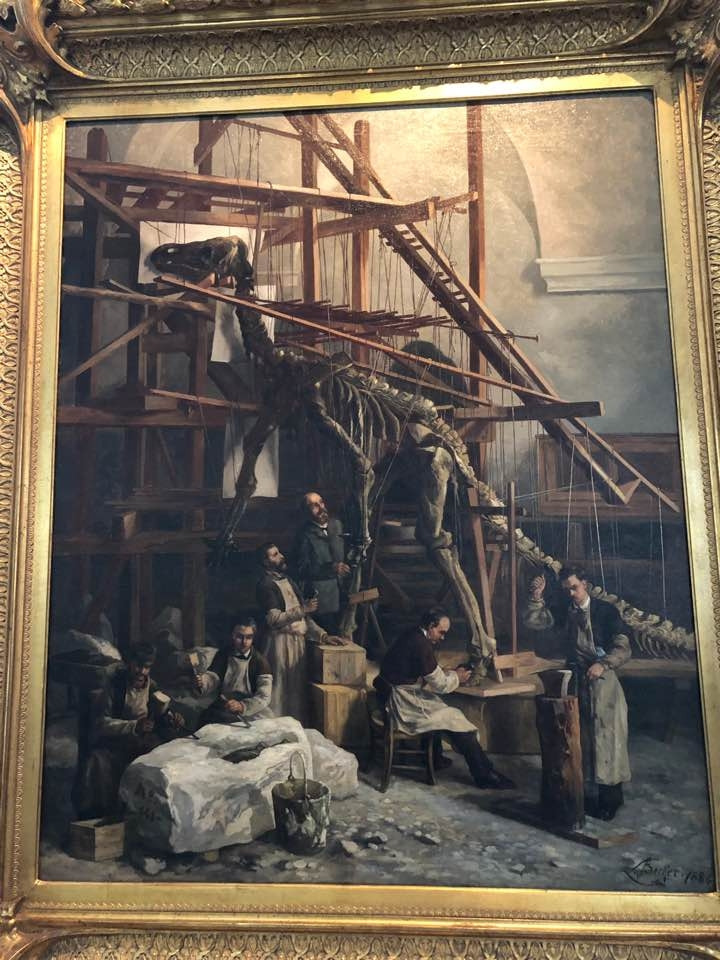 KakaoTalk_20190204_공룡복원 사진.jpg