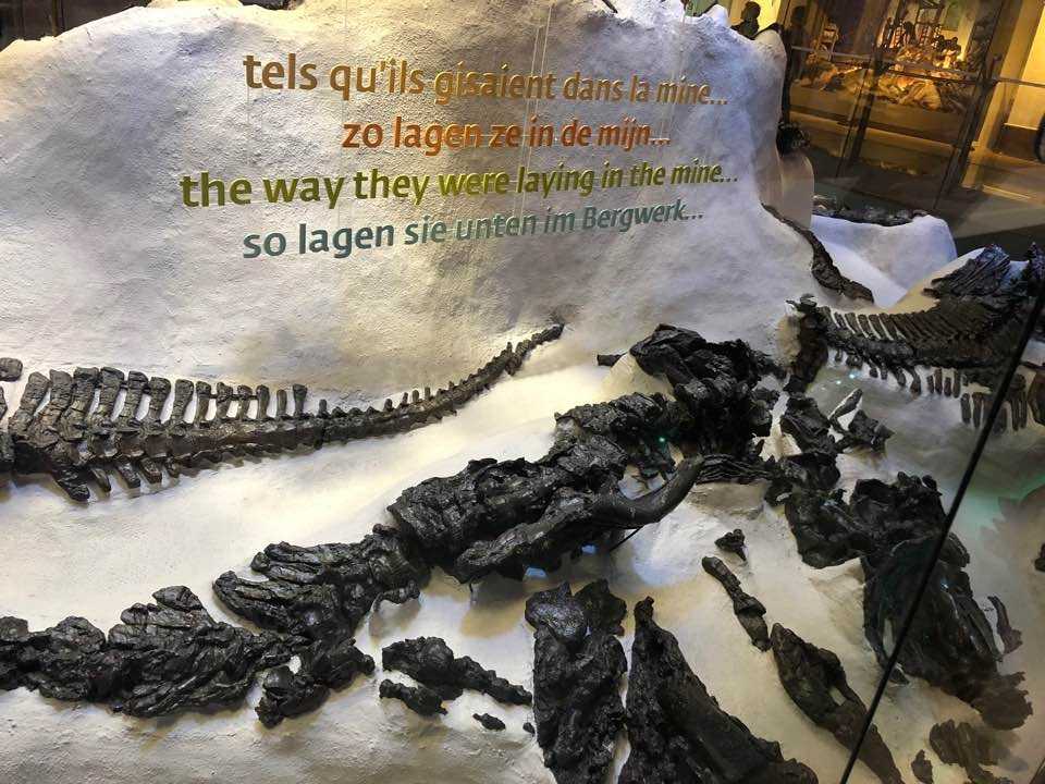 KakaoTalk_20190205_공룡 발굴지.jpg