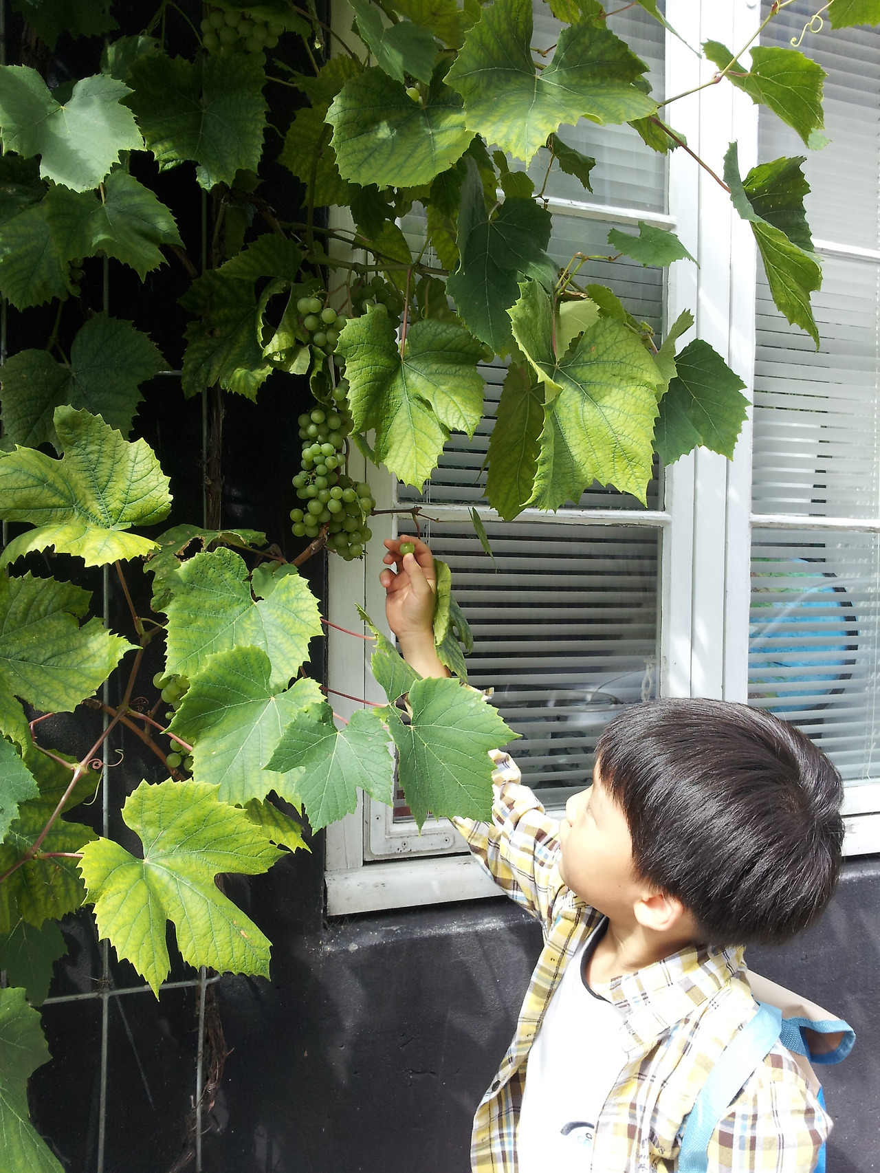 2013-08-20 13.23.47.jpg