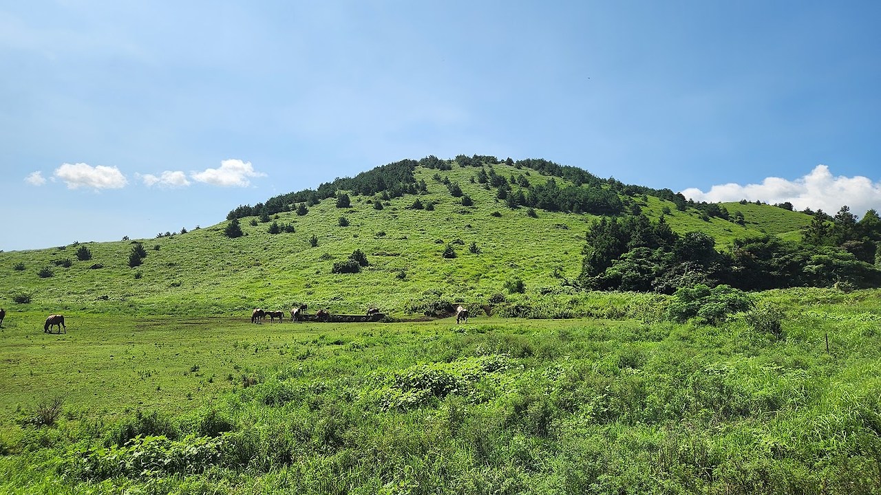 용눈이오름 2.jpg